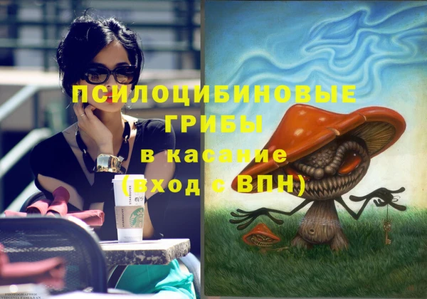 apvp Алексеевка