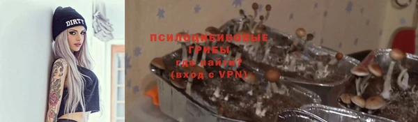 apvp Алексеевка