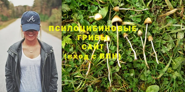 apvp Алексеевка