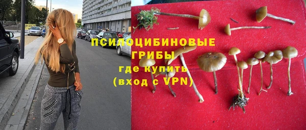молекула духа Абинск