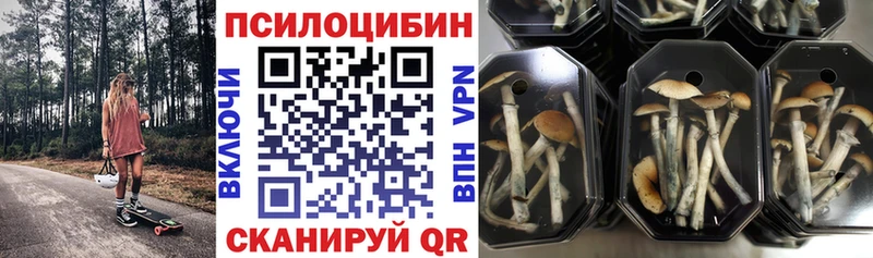 Псилоцибиновые грибы Psilocybe  маркетплейс телеграм  Барыш 
